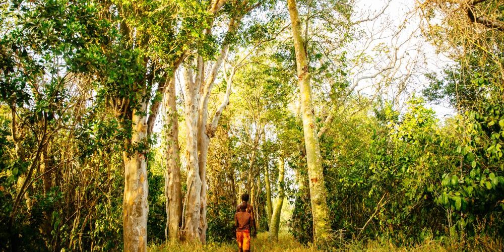 unesco world heritage sites in kenya