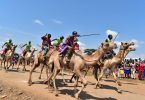 maralal international camel derby 2023