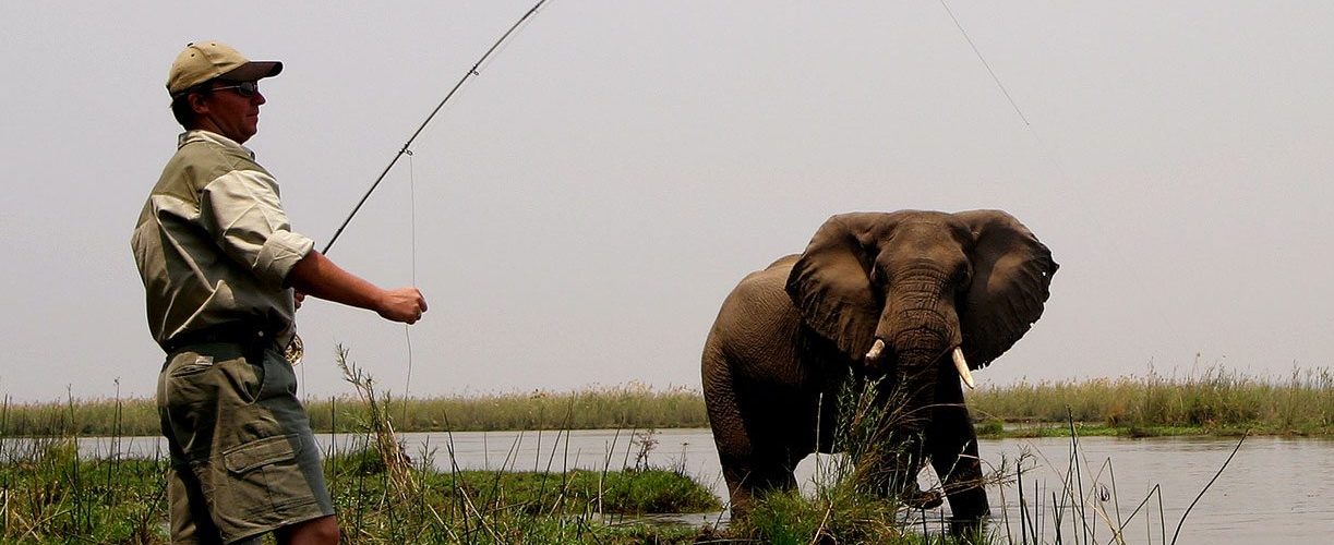 Fishing safaris in africa