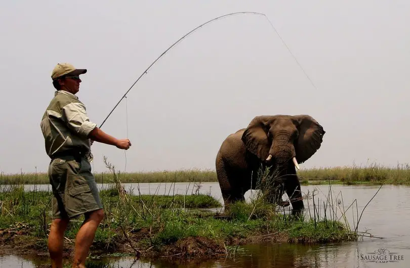 Fishing in Zambia