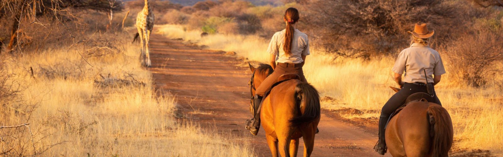 best time to visit namibia