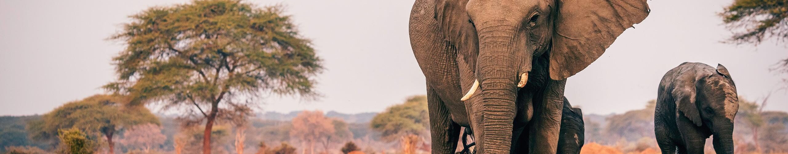 african destinations for americans