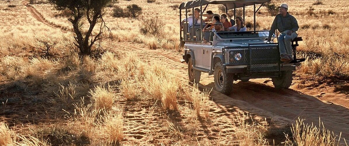 discovering botswana