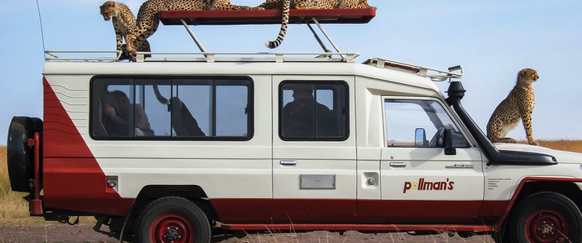 Top 10 Tour Operators in Kenya