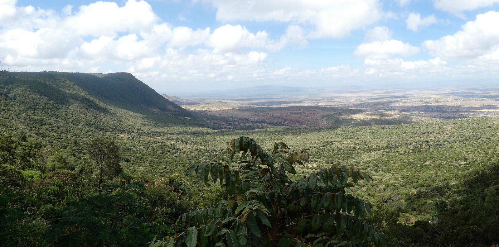kelis kenya viewpoint