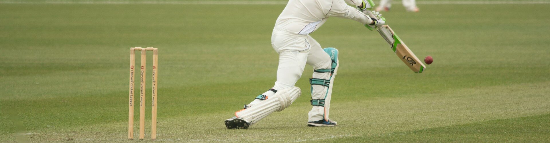cricket staking