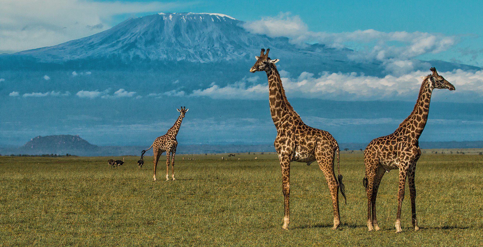 kenya ranks best wildlife photography destination