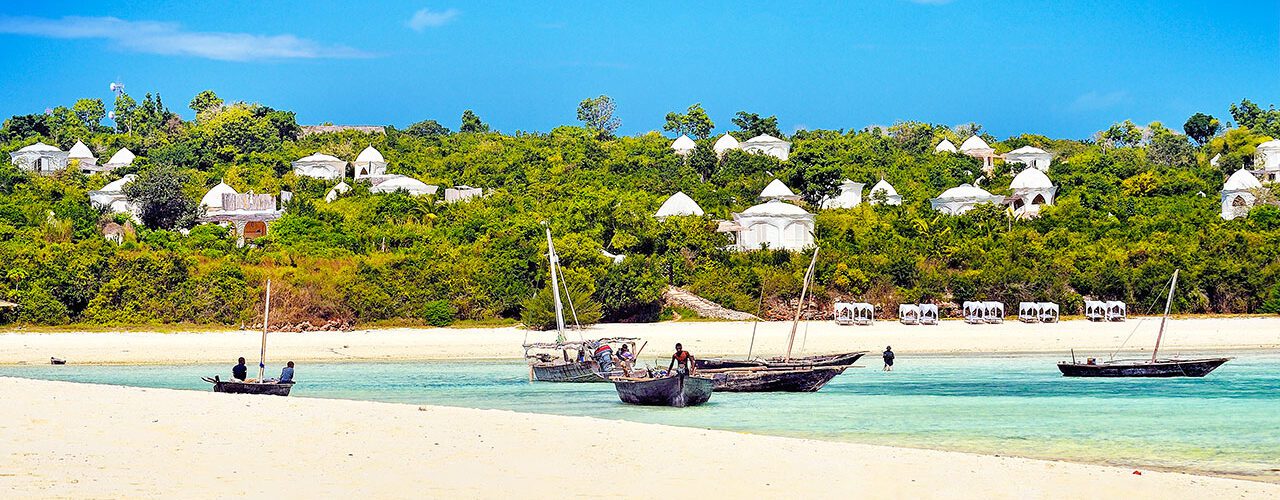 greener zanzibar