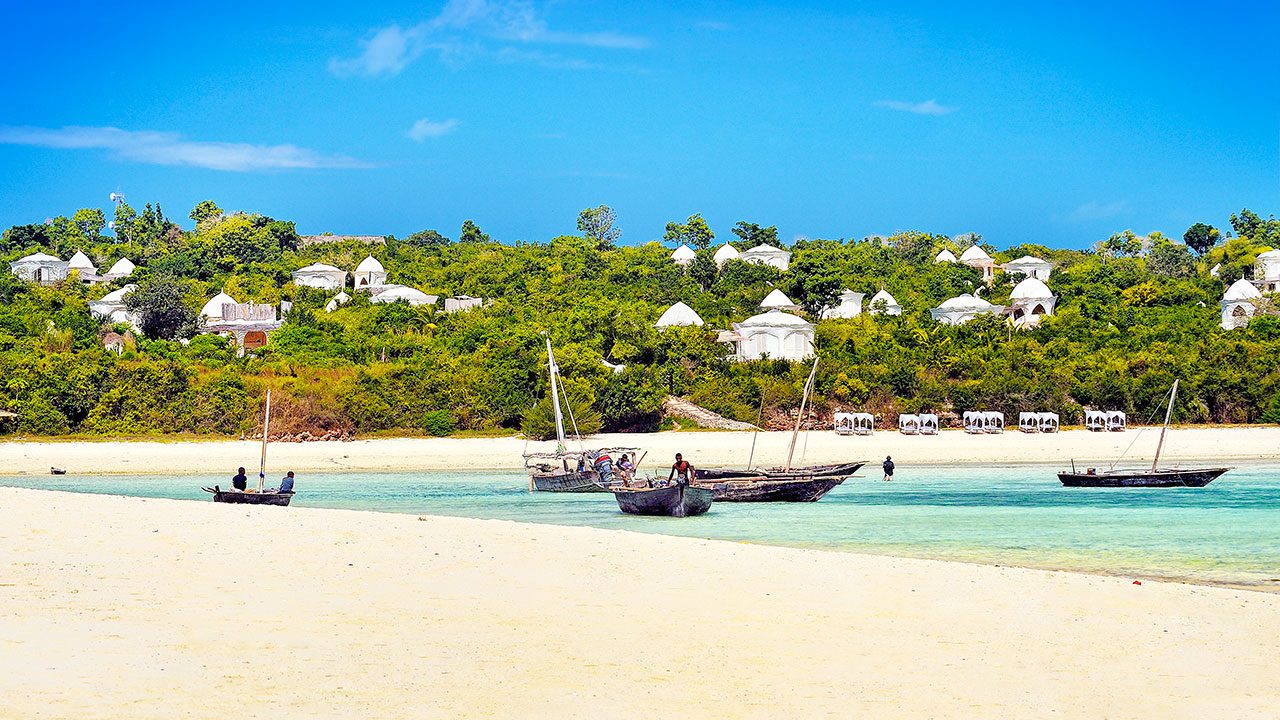 greener zanzibar