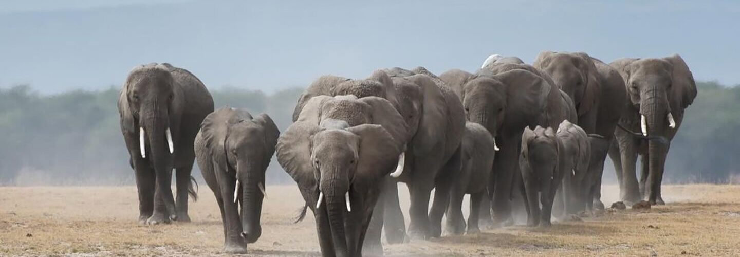 magical Places in Kenya