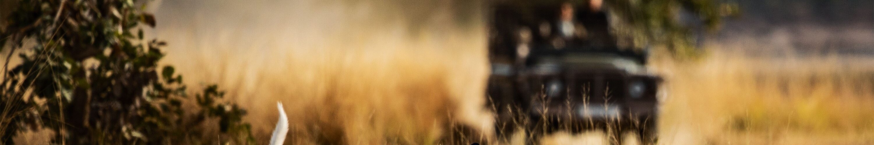 romantic things to do in zambia