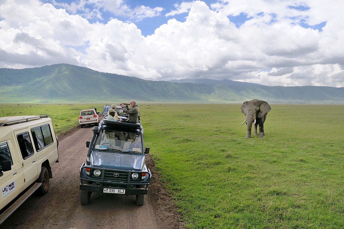 tourism in east africa