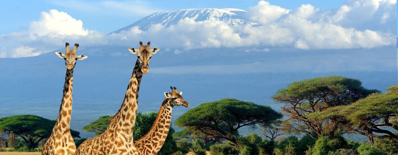 tourism in east africa