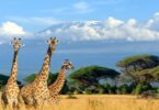 tourism in east africa