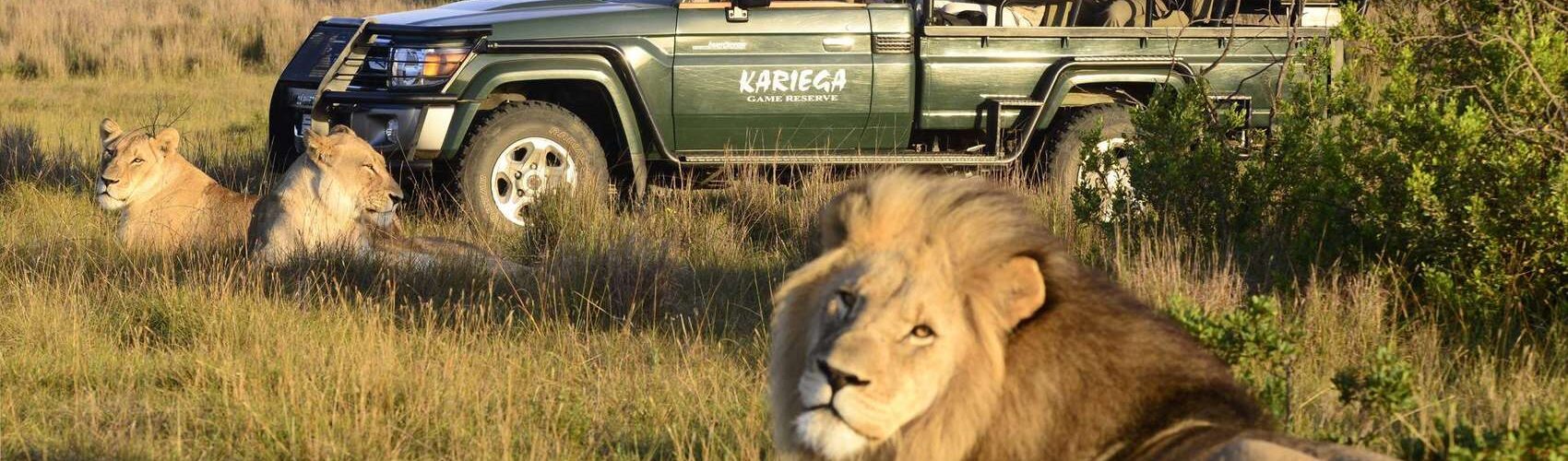 for family wildlife holidays