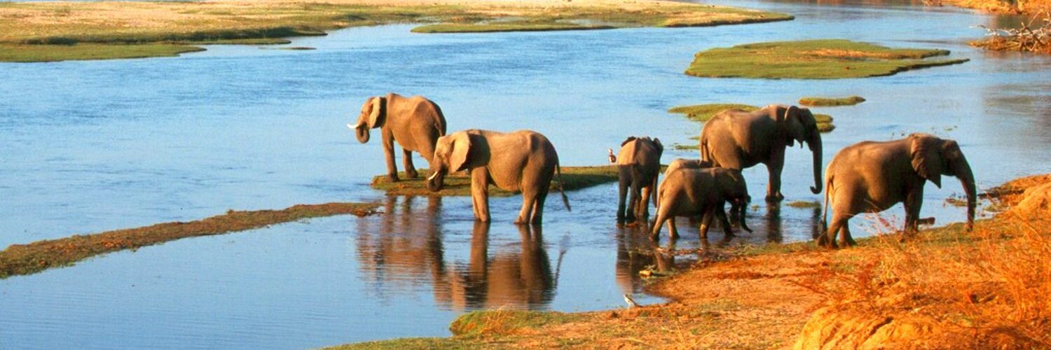 mana pools national park