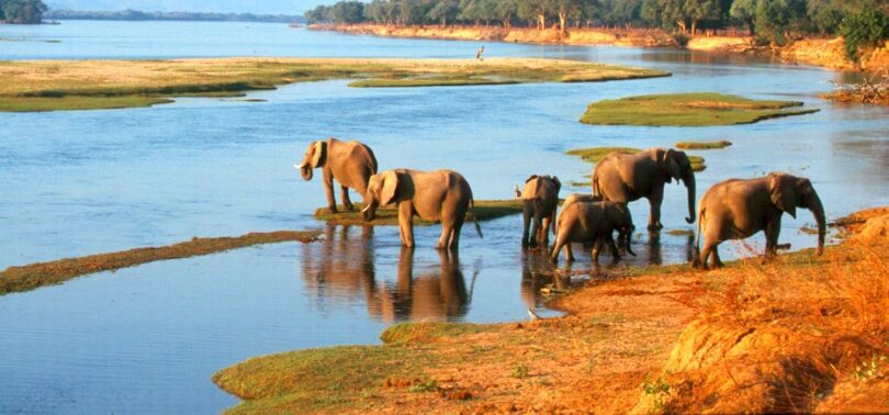 mana pools national park