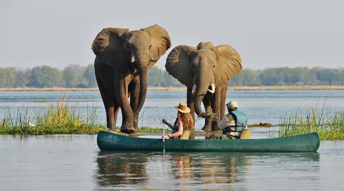 mana pools national park