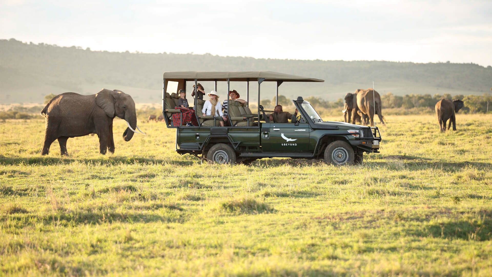 13 Masai Mara Game Drive Rules You Must Stick to