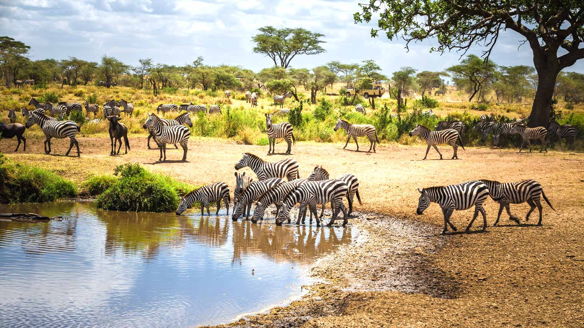 best month to visit tanzania