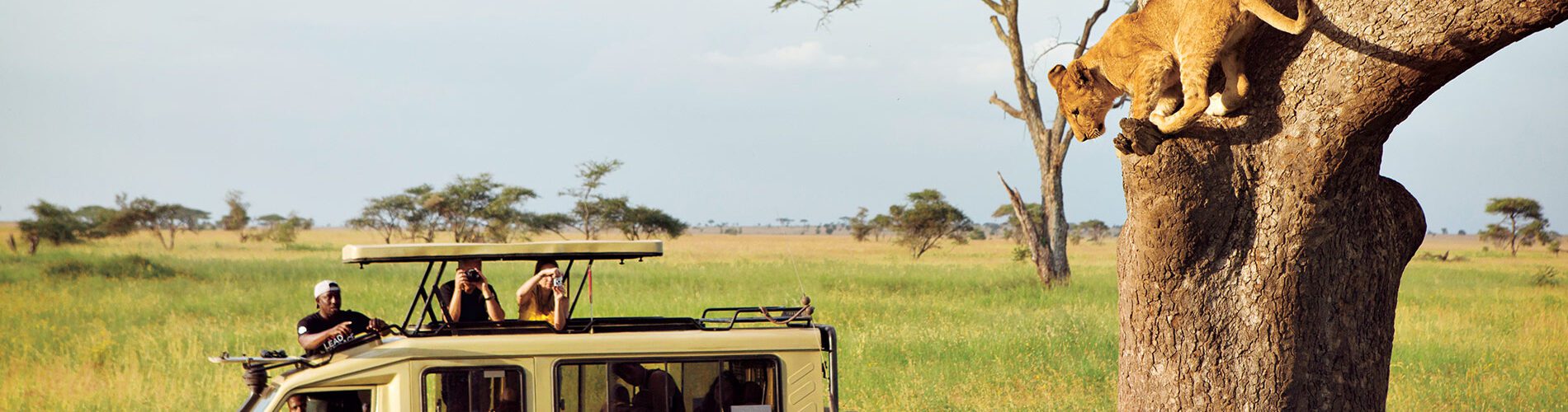 Tanzania safari