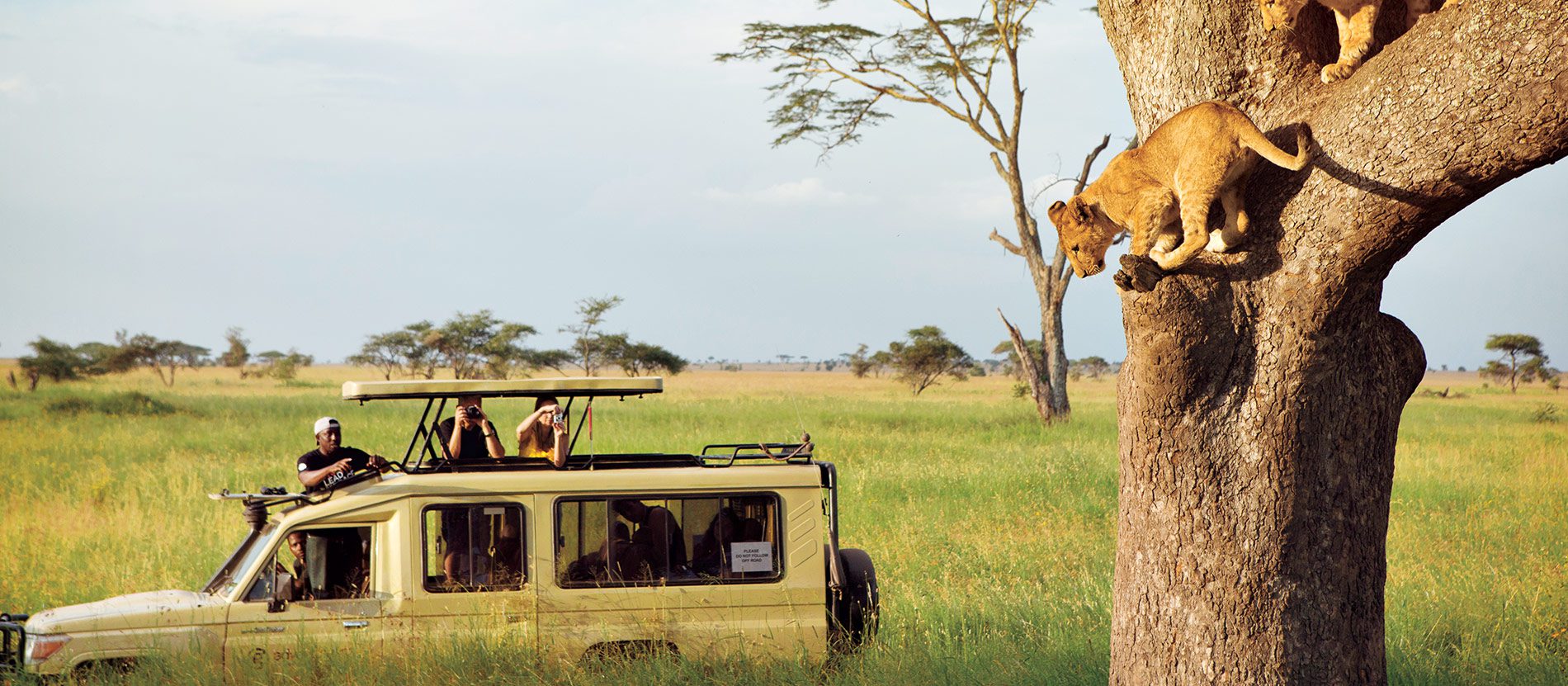 5 Major Destinations That Crown Tanzania Safari Anytime
