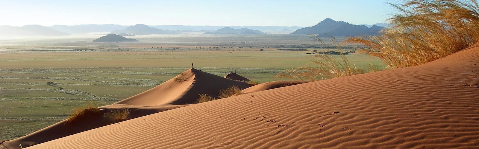 kalahari africa