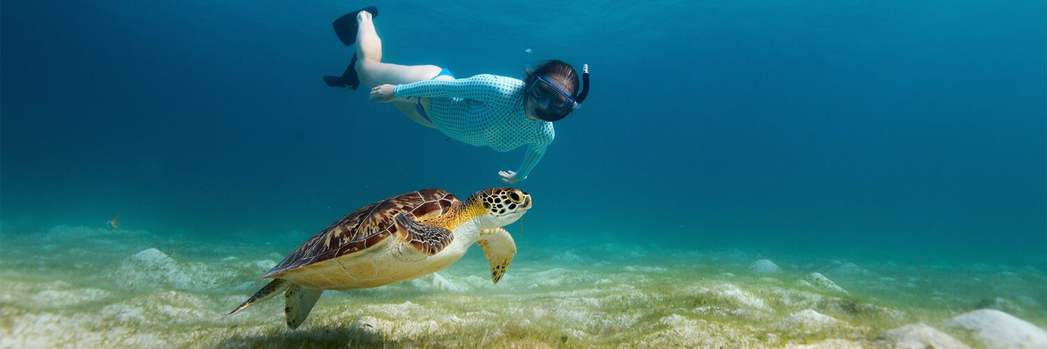 mbudya island snorkelling