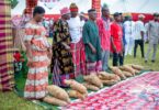 new yam festival Nigeria