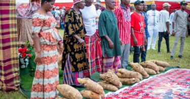 new yam festival Nigeria