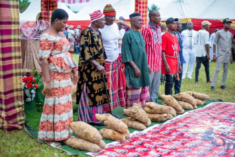 new yam festival Nigeria