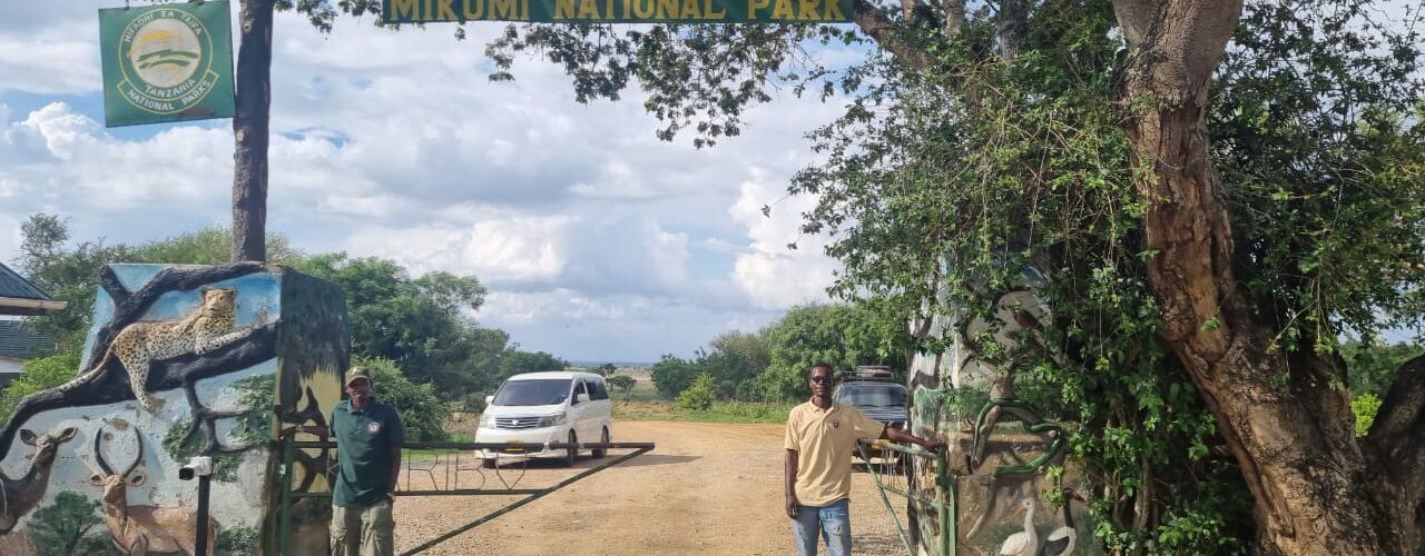 nice adventure safaris