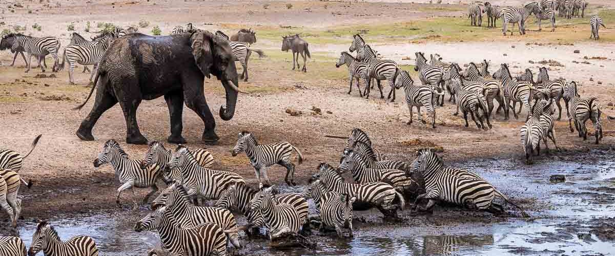 where to go in africa January