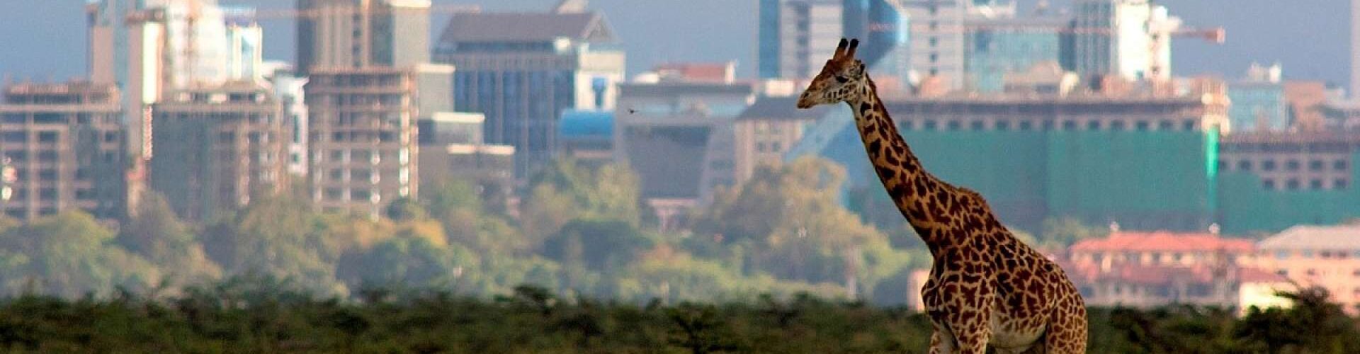 kenya tourism growth 2025