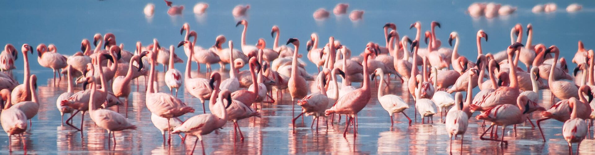 lake manyara national park