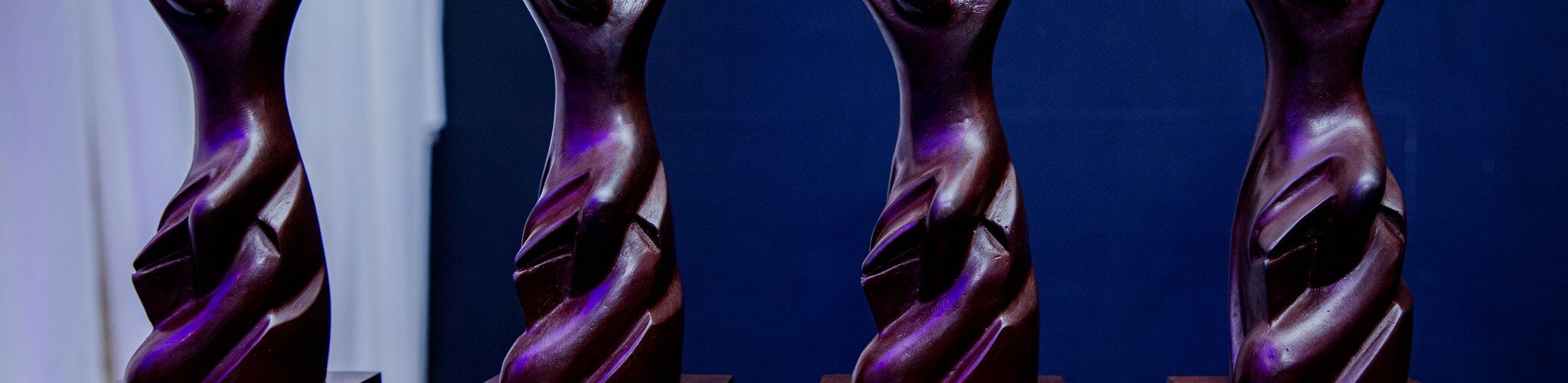 2025 world travel awards tanzania