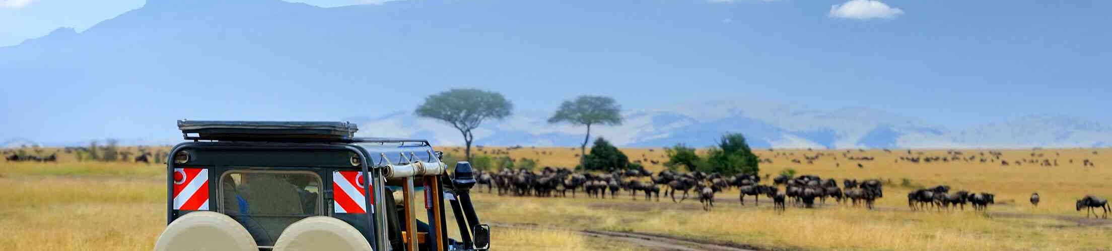 tanzania world travel awards 2025