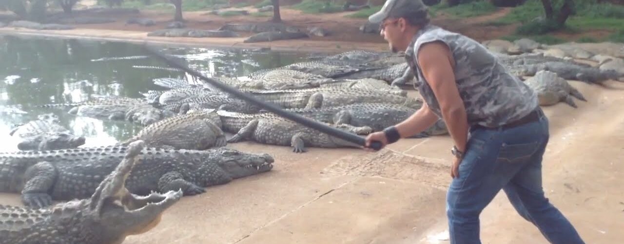 top 10 crocodile farms in africa