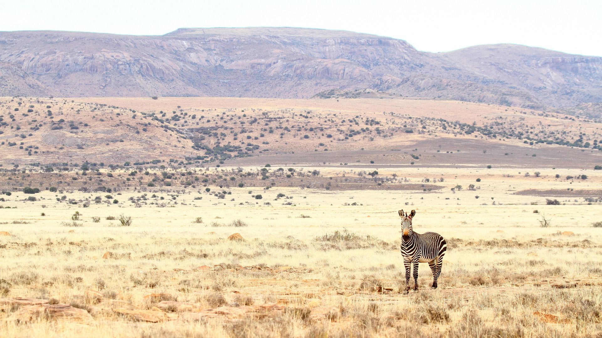 underrated south african national parks