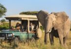cheap holiday deals africa