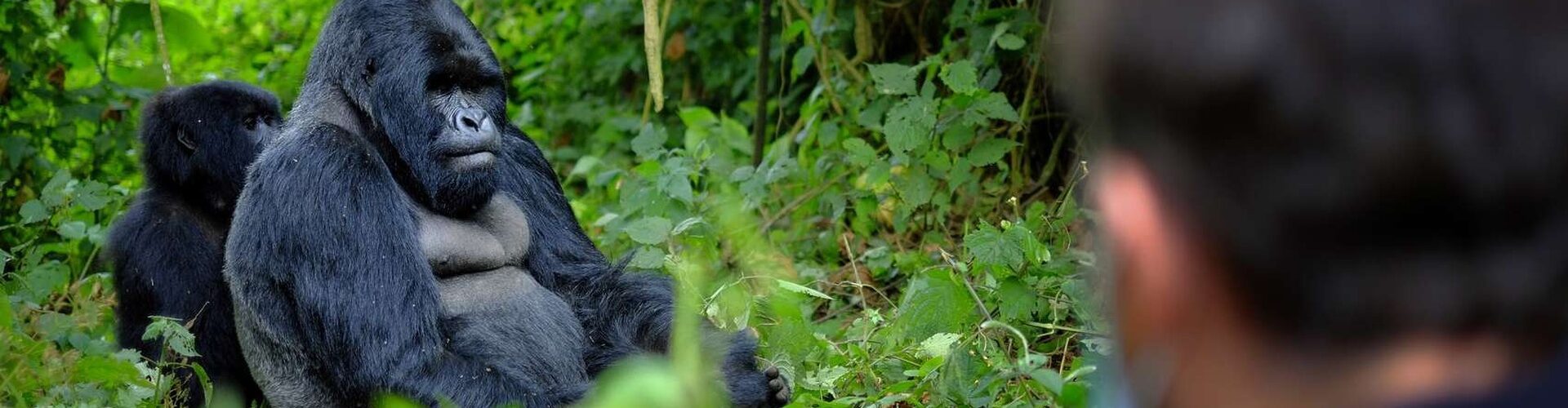 top places to visit in africa 2026
