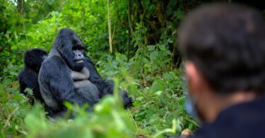 top places to visit in africa 2026