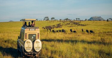 best holiday destinations africa 2025: part 2