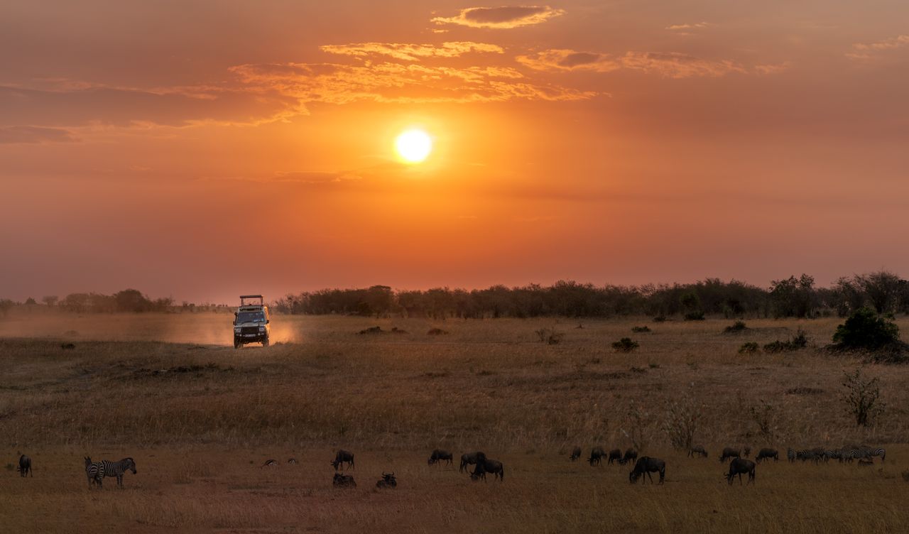 african adventure safari